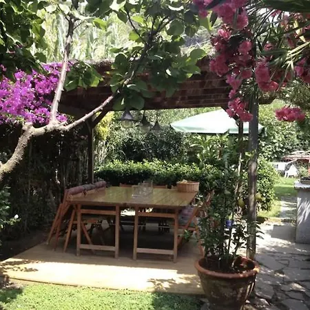 Elba Island House La Palma On Forno 4* Portoferraio